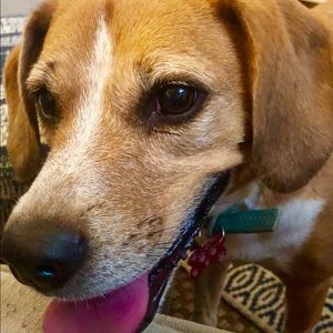 Meet your Posher, Alex